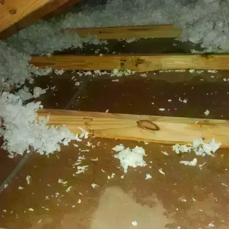 Attic Water Damage in Haywood County, NC